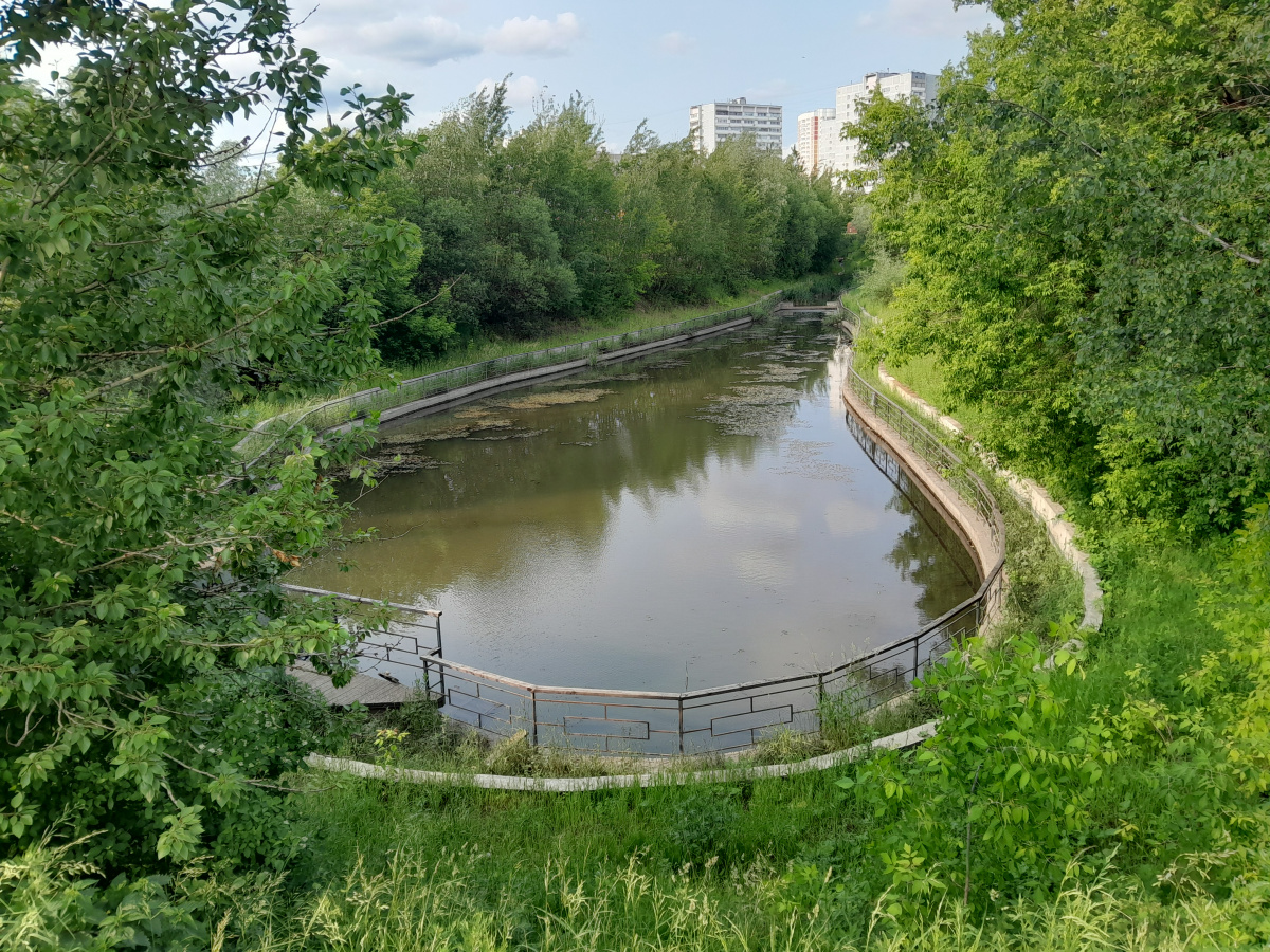 Средний Передельцевский пруд (Передельцевский ручей)