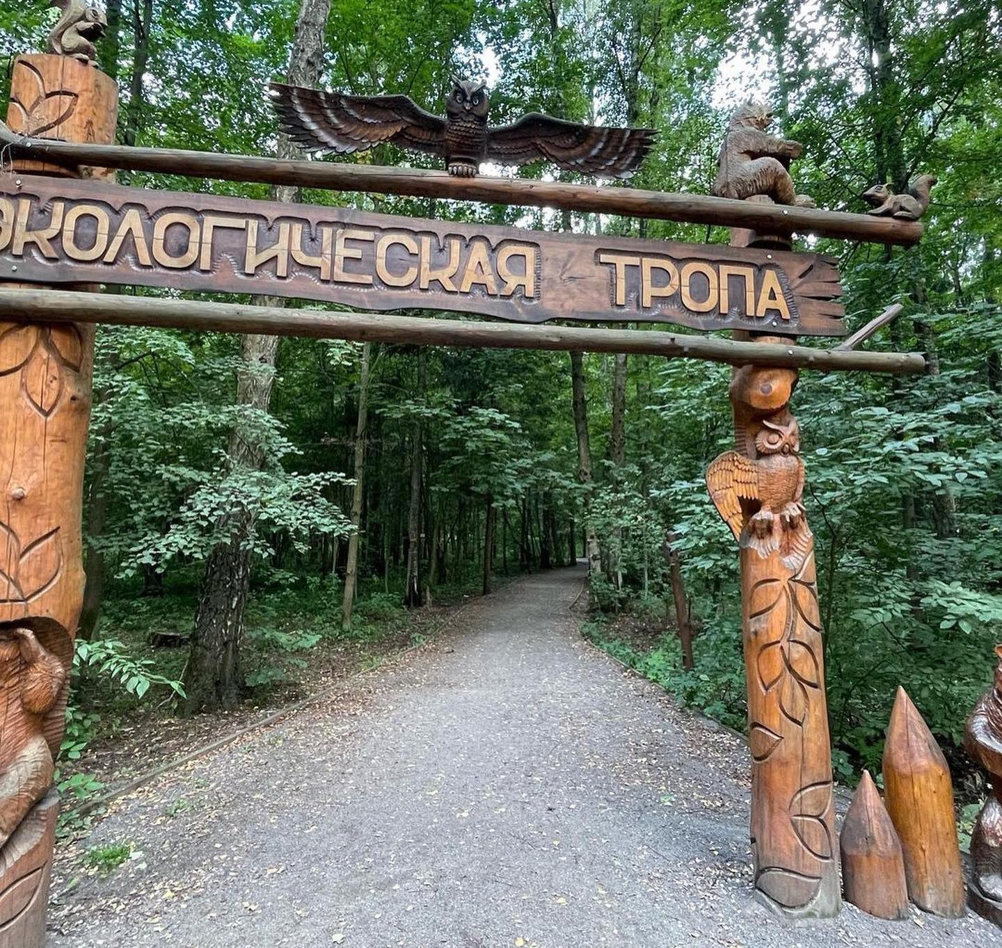 Экологическая тропа в Московском